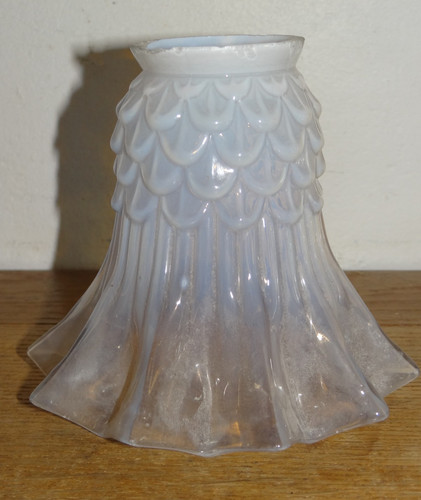 Belle tulipe verre - belle,