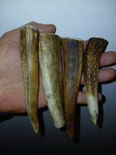 93. Ébauches en corne de cerf
