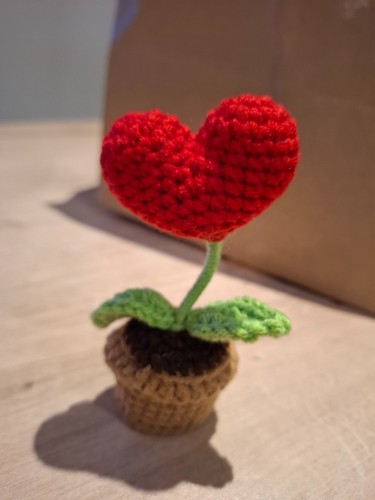 Pot fleur coeur laine - pot,
