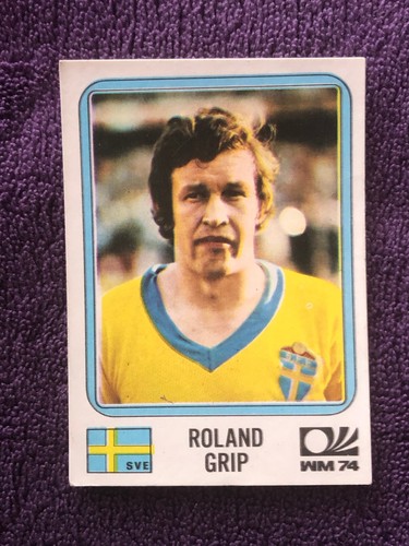 Panini image - panini, :