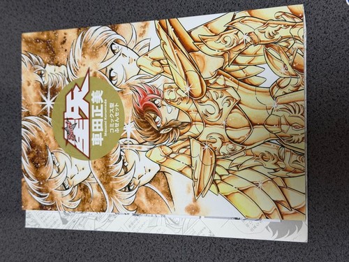 Saint seiya - saint,