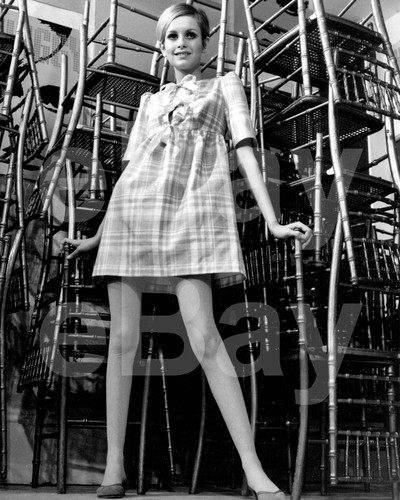 Photo twiggy 10x8 - photo,
