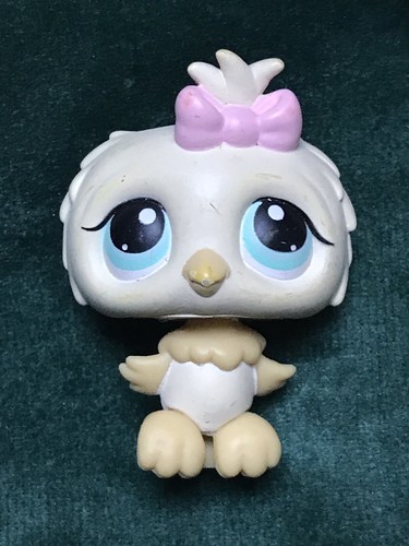 Petshop hibou 147 - hibou, 147🌺