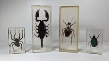 Curiosité : Lot de 4 insectes Inclusion Résine (Lot n°3)