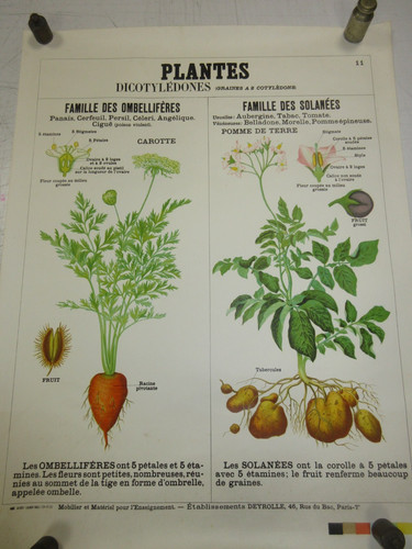 Affiche planche ecole - affiche,