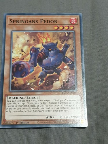 Springans pedor common - -,