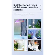 Pompe à Oxygène Silencieuse