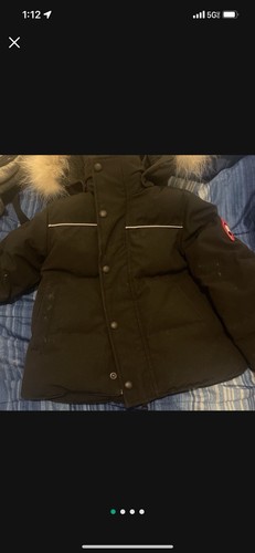 Canada goose size 3 - goose, 2/3