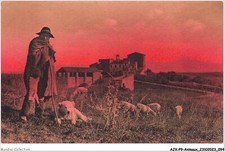 AJXP9-0935 - ANIMAUX -