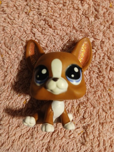 Littlest petshop lps - petshop,