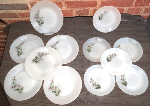 Assiettes arcopal - 12,