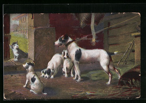 Carte postale petit chat - carte,