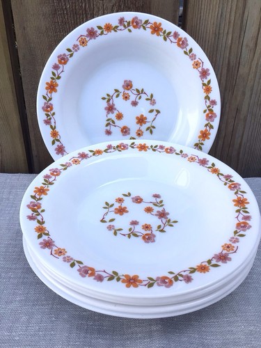 Assiettes creuses scania - 6,