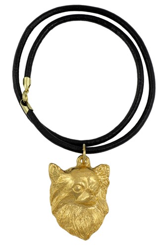 Chihuahua poil long collier - chihuahua,