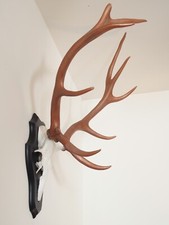 trophée massacre écusson de cerf stylisée - 10 cors