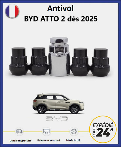 Ecrous antivol roues noir - ecrous,