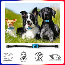 Collier anti-aboiement Chien