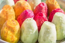 figues de Barbarie trio de couleurs 50 graines fraîches - Opuntia ficus-+CADEAU