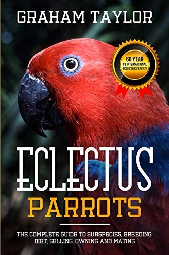 The eclectus parrot - the, parrot: