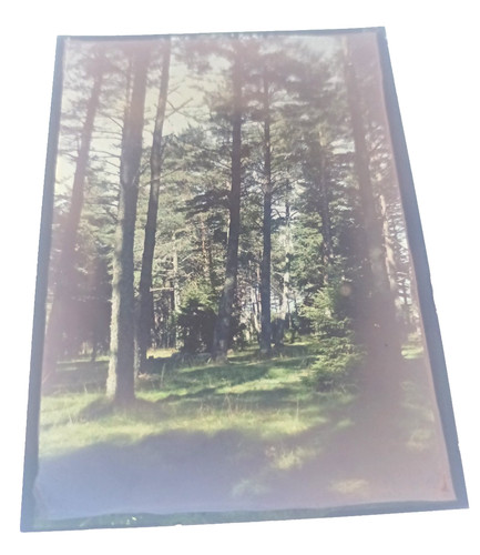 Une autochrome filmcolor - n°3,