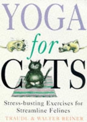 Yoga for cats - cats:,
