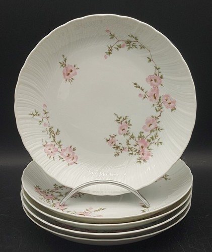 Assiettes soupe porcelaine - 5,