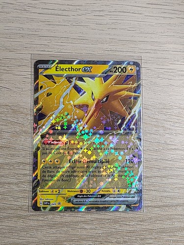 Carte pokémon elector - pokémon, ex