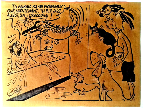 Siro dessin - siro,