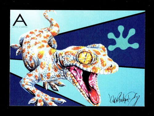 2018 attic reptiles - attic, tokay