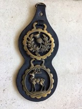 Insignes De Cheval Sur Harnais En Cuir Noir