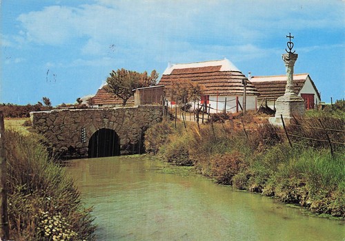 Camargue pont mort la - du,