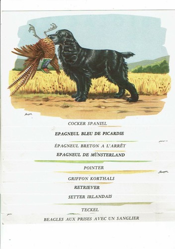 Laboratoire fournier chien - laboratoire,