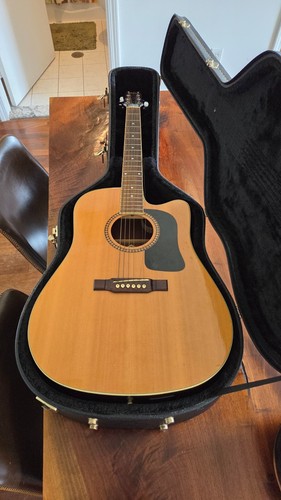Washburn d10sce dreadnought - d10sce,