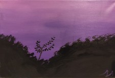 Toile de Mathusalem : Hiatus