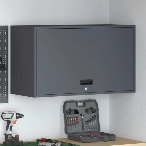Armoire murale pour - , garage