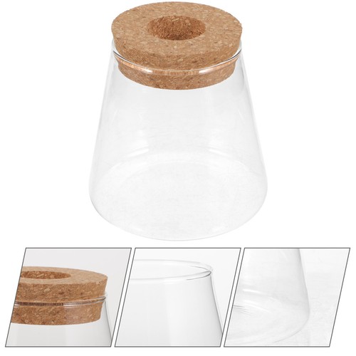 Bocal terrarium verre - en,
