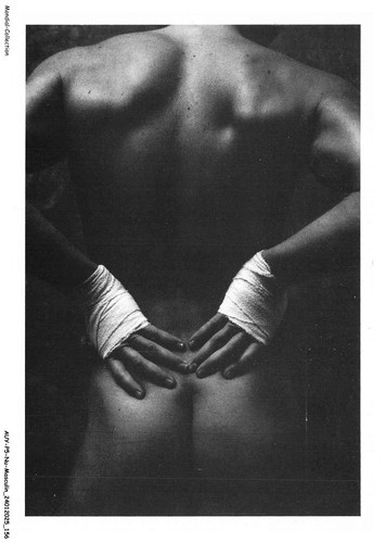 Auyp5 0455 masculin fists - auyp5-0455-nu-masculin,