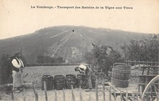CPA 08 CHER / LA VENDANGE / TRANSPORT DES RAISINS DE LA VIGNE AUX TINES
