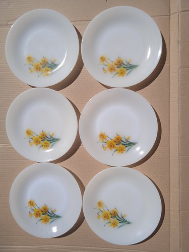 Assiettes plates arcopal - plates,