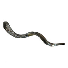 Corne de Kudu yéménite