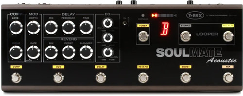 Rex soulmate acoustic - t-rex,