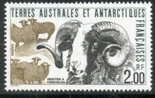 TIMBRE T.A.A.F. / TERRES