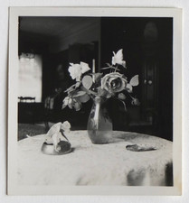 Nature morte bouquet iguane table rose - Photo vintage snapshot