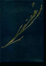 Les grands révolutionnaires : Les géa... - Collectif - V245053