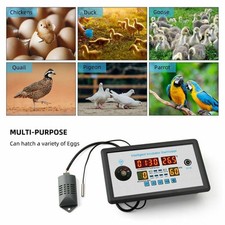 Thermostat d'incubateur 12 V facile à utiliser pour l'éclosion des œufs de po