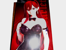 NEUF Fairy Tail – Erza