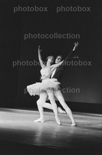 Rudolf nureyev noureev - rudolf, noureev-