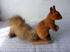 Joli ecureuil ancien sans - joli,