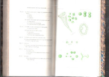 livre BERNARD Leçons sur les