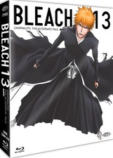 Bleach - Arc 13: Zanpakuto